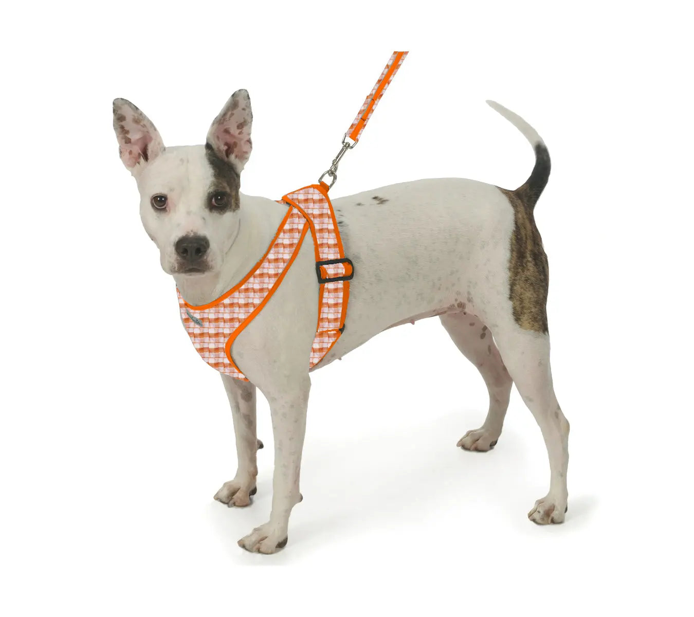Gingham Step-In Dog Harness, Soft Adjustable Mesh Walking Vest in Five Colors for Dogs from 3 to 40 Pounds source image 20