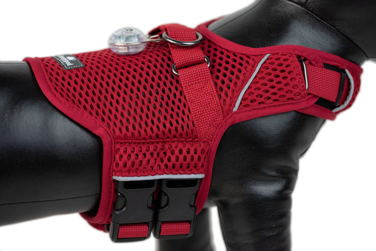Martingale Dog Harness product image 20