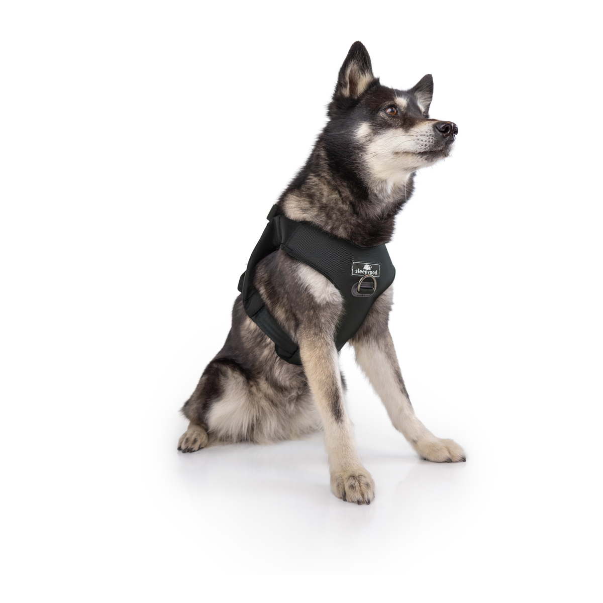 Crash-Tested Dog Car Safety Harness product image 20