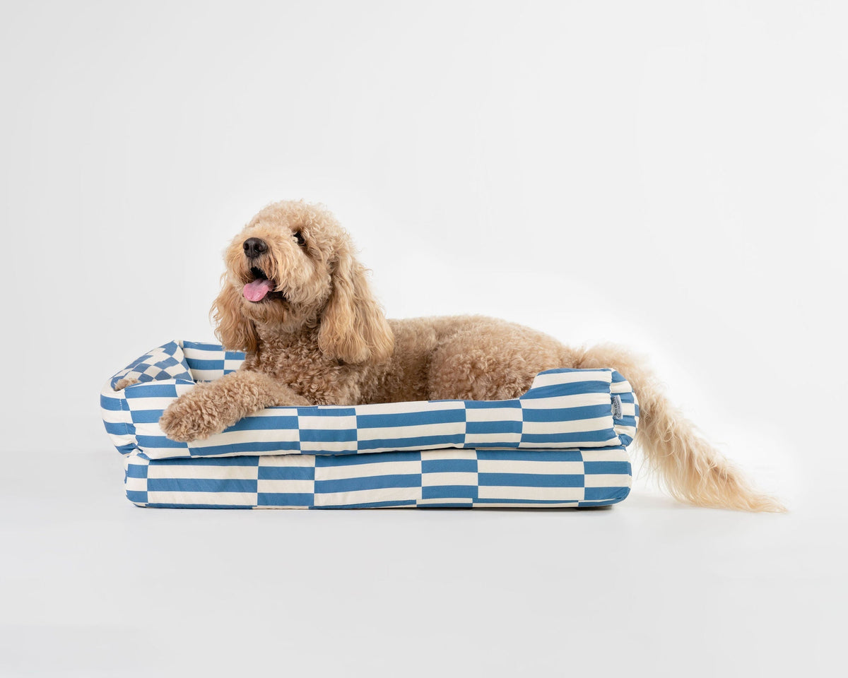 Orthopedic Dog Bed product image 20