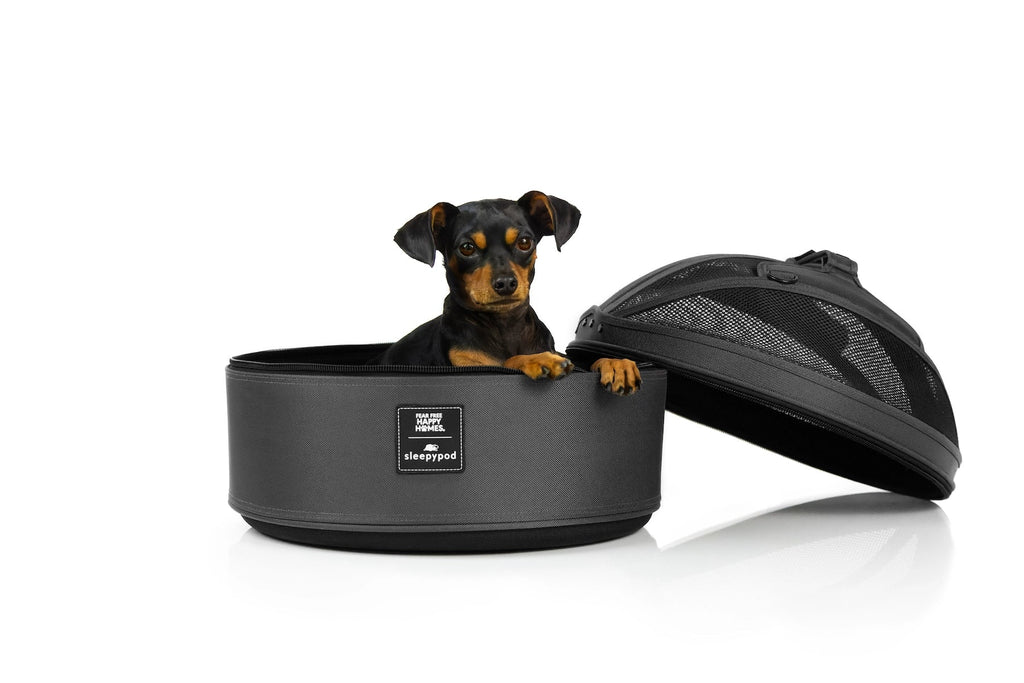 Pet Travel Carrier product image 20