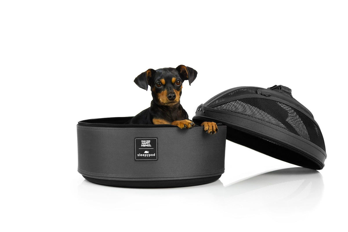 Pet Travel Carrier product image 20