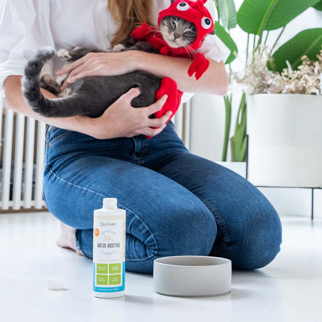 Pet Dental Water Additive product image 20