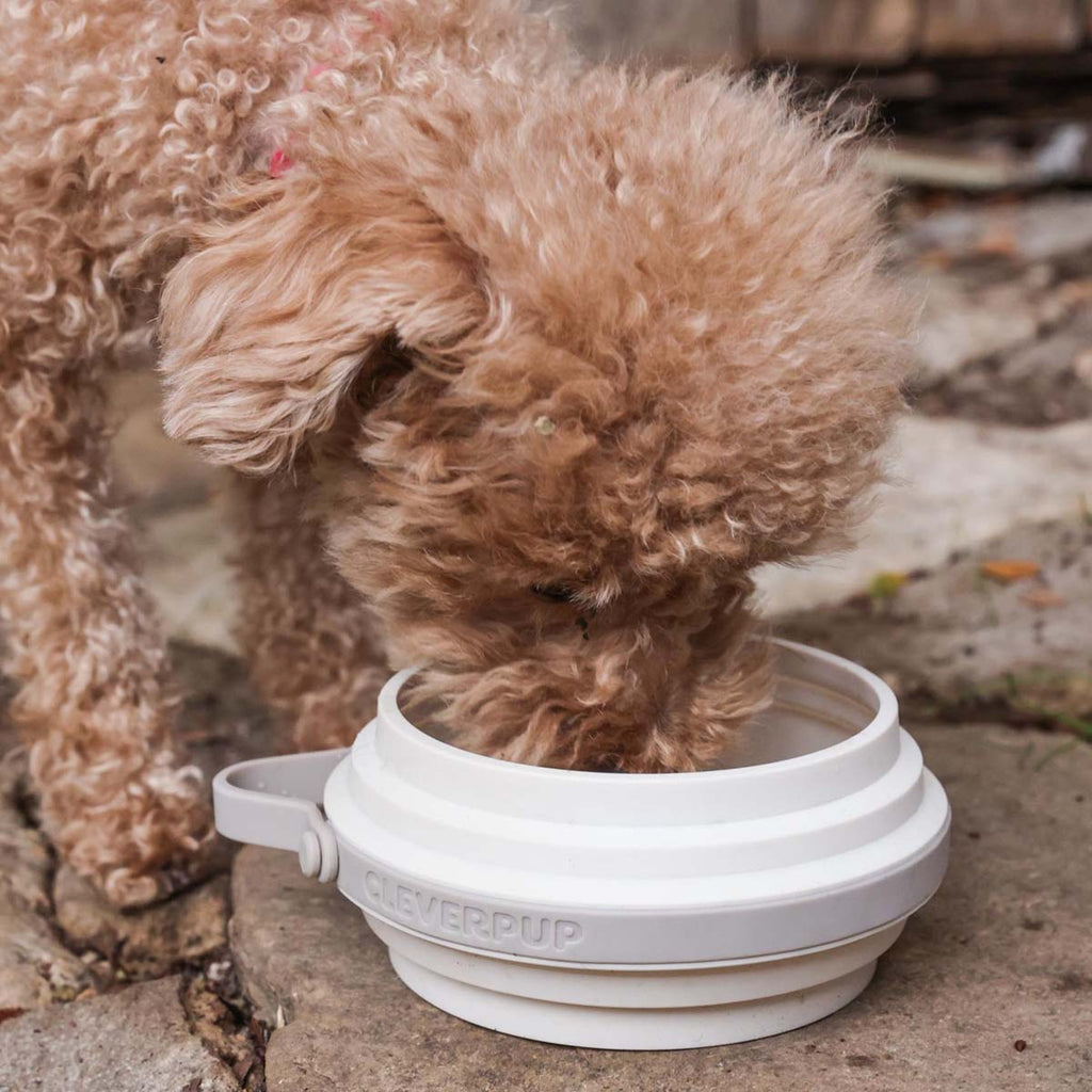 Travel Dog Bowl product image 20