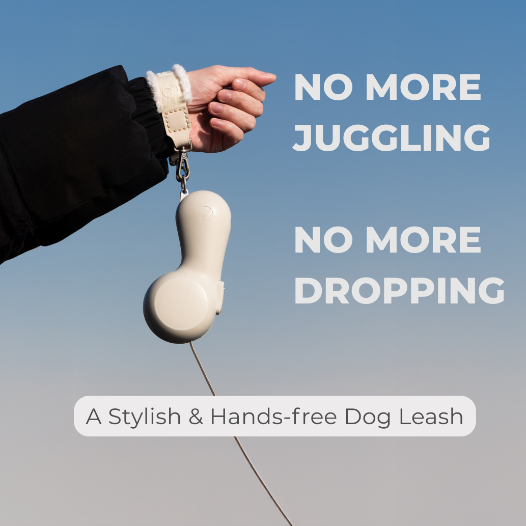 Retractable Dog Leash product image 20