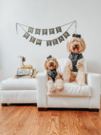 Adjustable Dog Harness product image 20