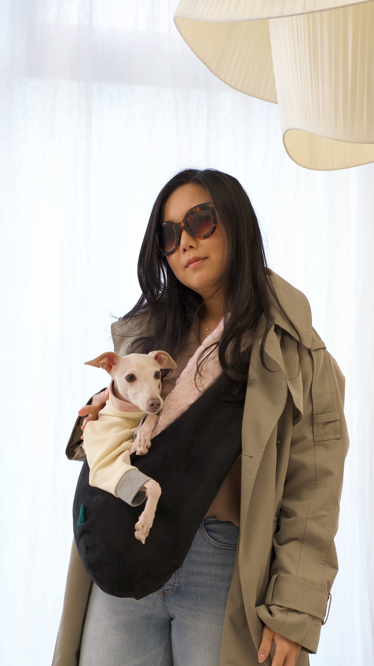 Pet Carrier product image 20