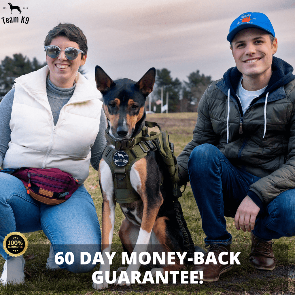 Heavy-Duty Tactical No-Pull Dog Harness with Dual D-Ring Control and Quick-Release Metal Buckles product image 21