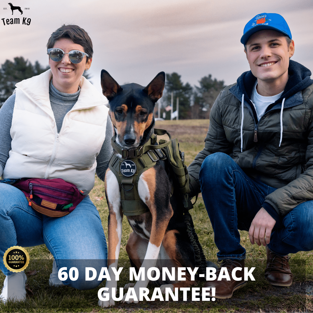 Heavy-Duty Tactical No-Pull Dog Harness with Dual D-Ring Control and Quick-Release Metal Buckles product image 21