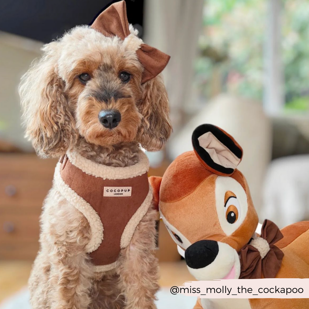 Adjustable Neck Dog Harness, Brown Faux Suede Walking Vest with Soft Fluffy Trim in XXS to Large Sizes source image 21