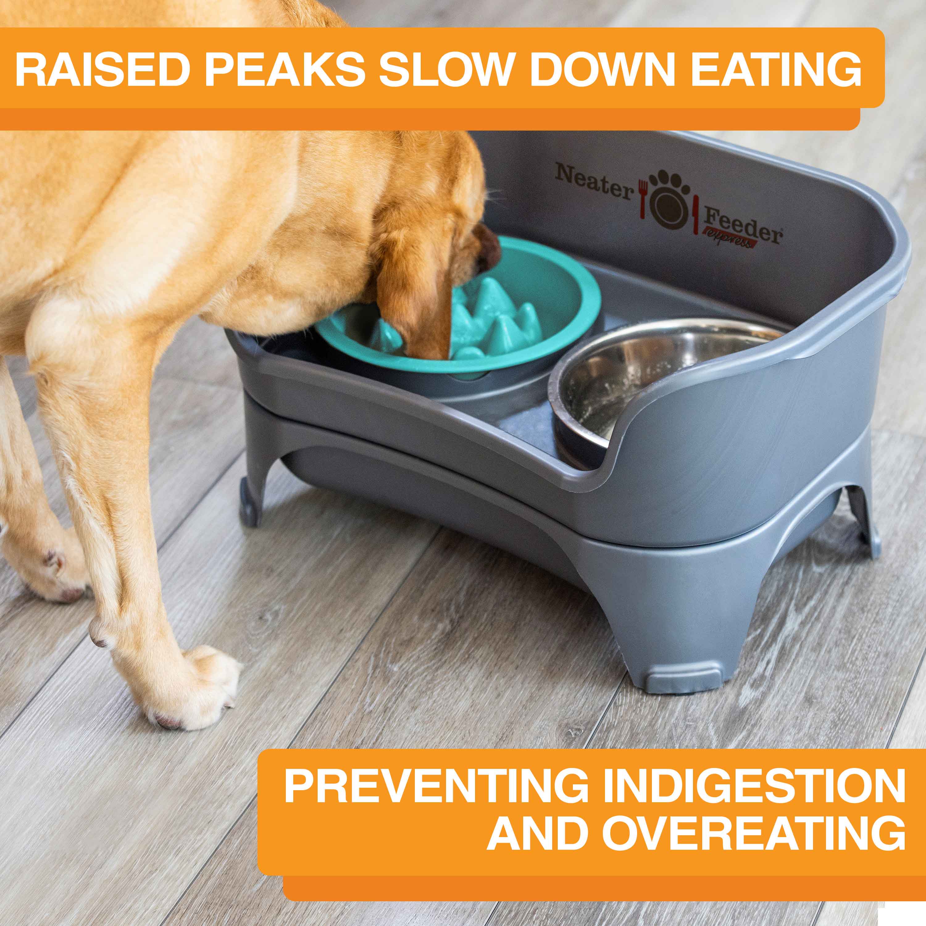 Slow Feeder Dog Bowl, Nine-Peak Non-Skid Two-Cup Design for Flat-Faced and Fast-Eating Dogs source image 21