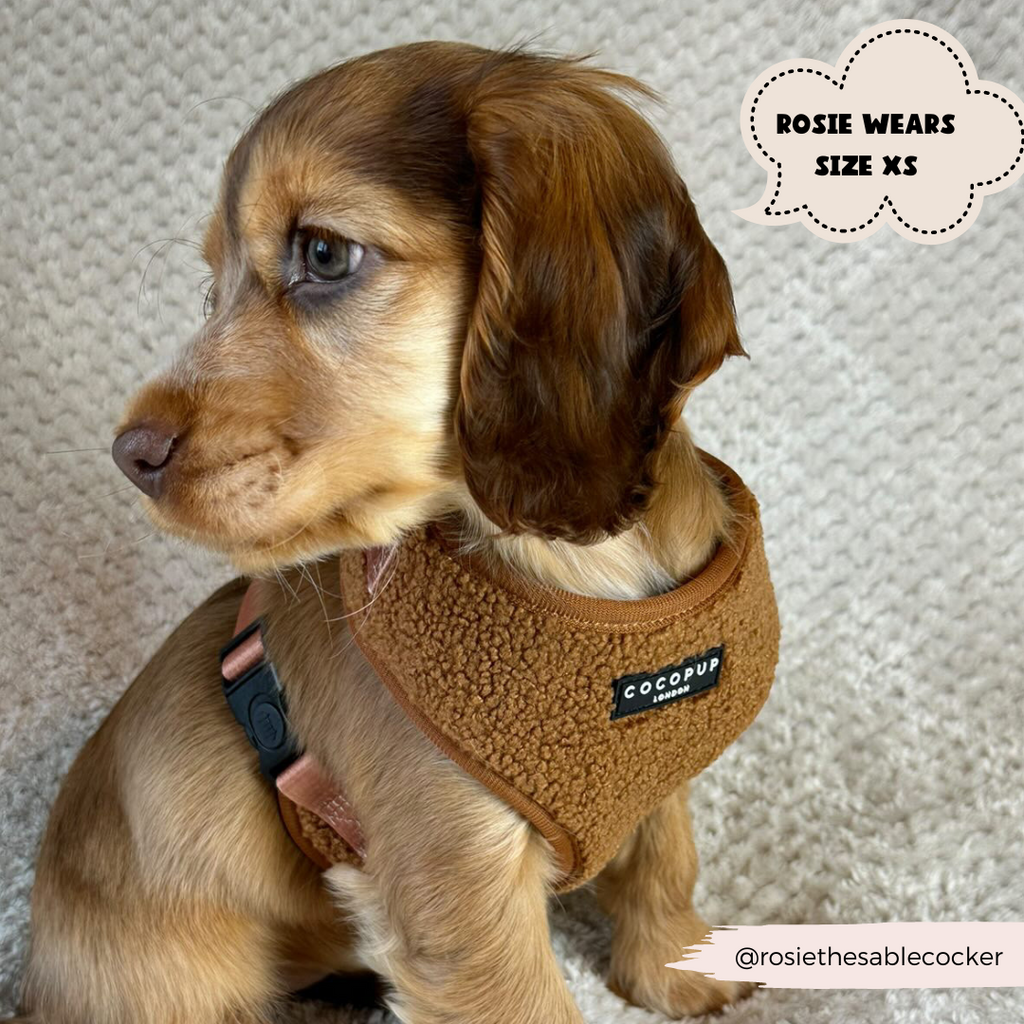 Adjustable Neck Dog Harness in Teddy Texture, Lightweight Walking Vest for XXS to Large Dogs source image 21