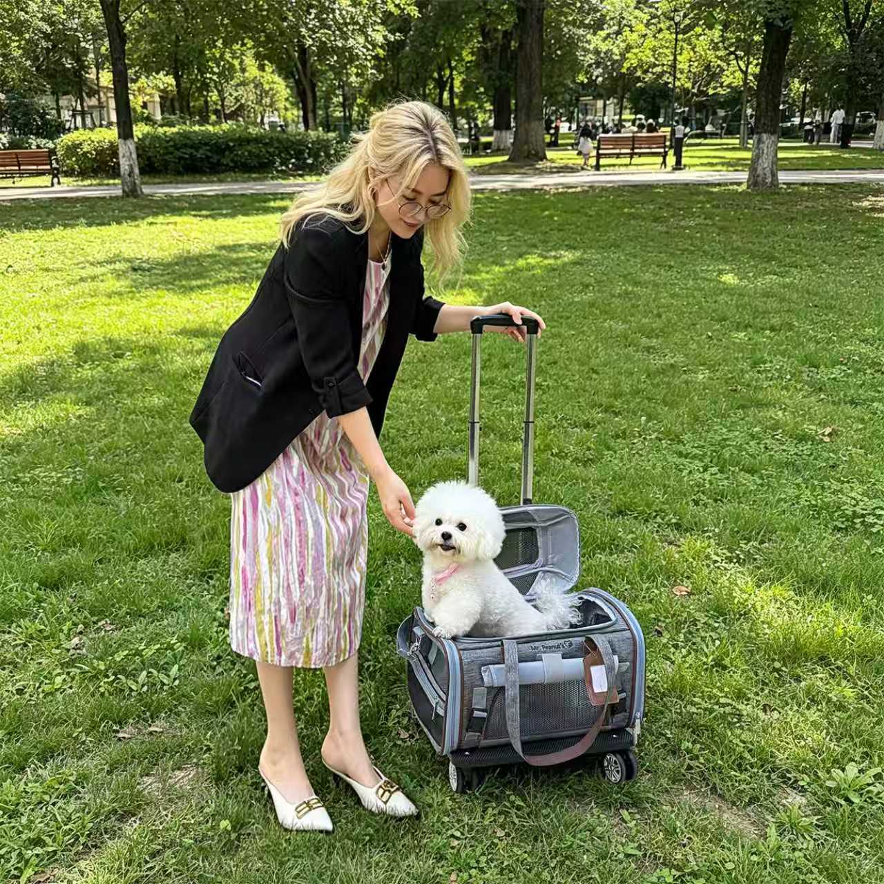 Expandable Soft-Sided Airline Pet Carrier, Two-Inch Taller Cabin for Ventilated and Secure Travel source image 21