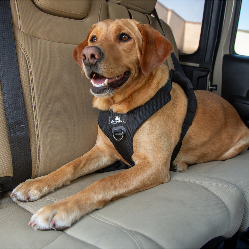 Crash-Tested Dog Car Safety Harness product image 21