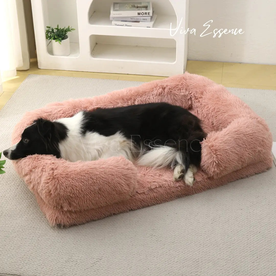 Orthopedic Dog Bed product image 21