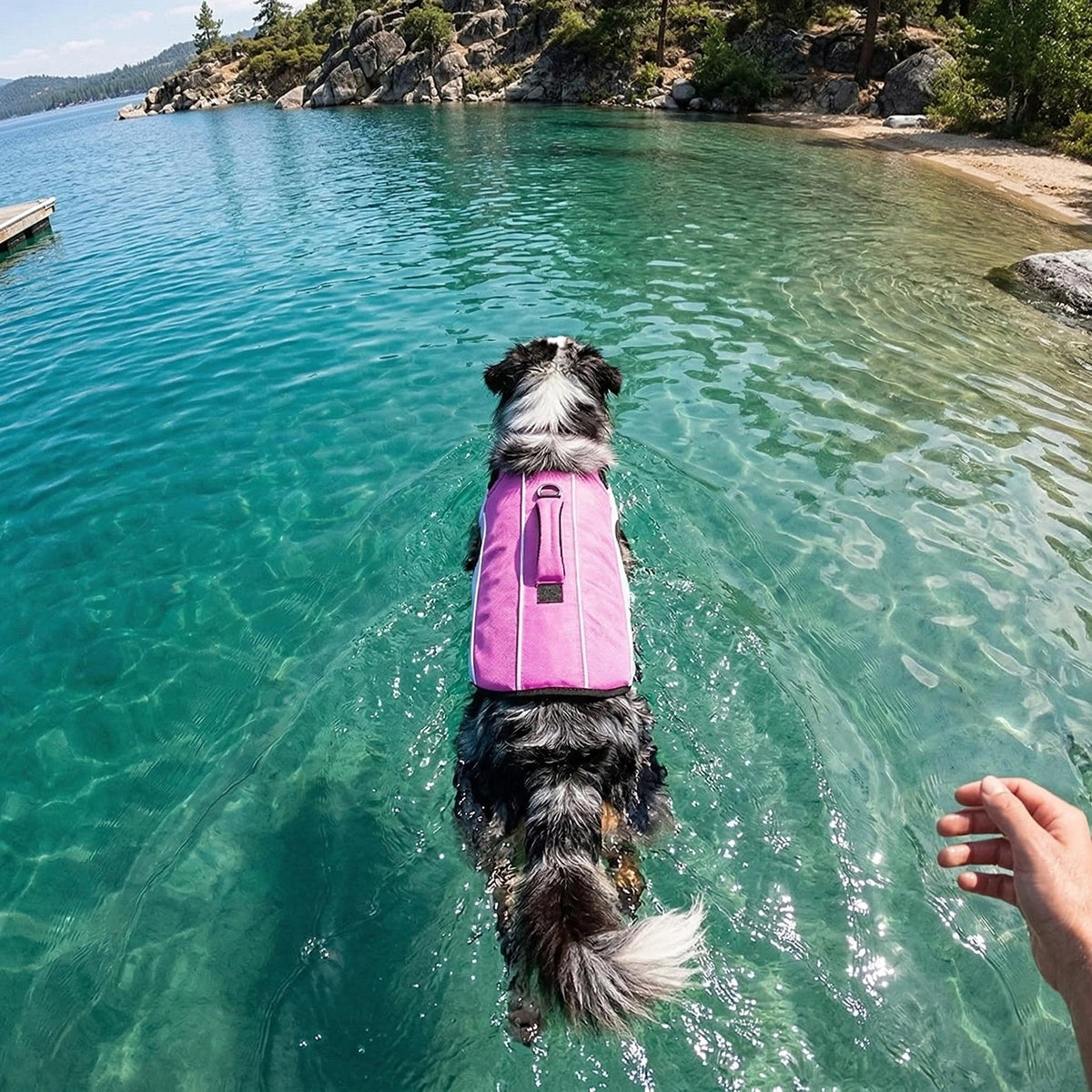 Dog Life Jacket product image 21