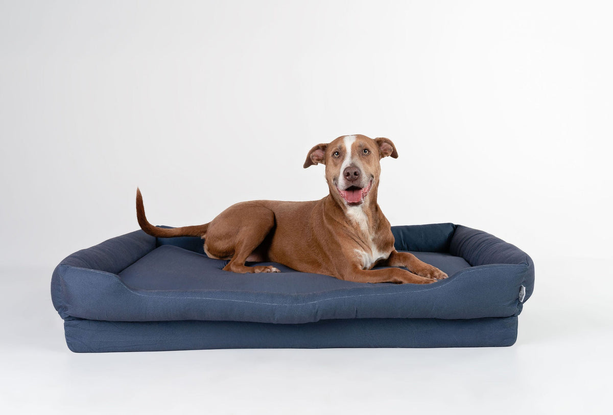 Orthopedic Dog Bed product image 21