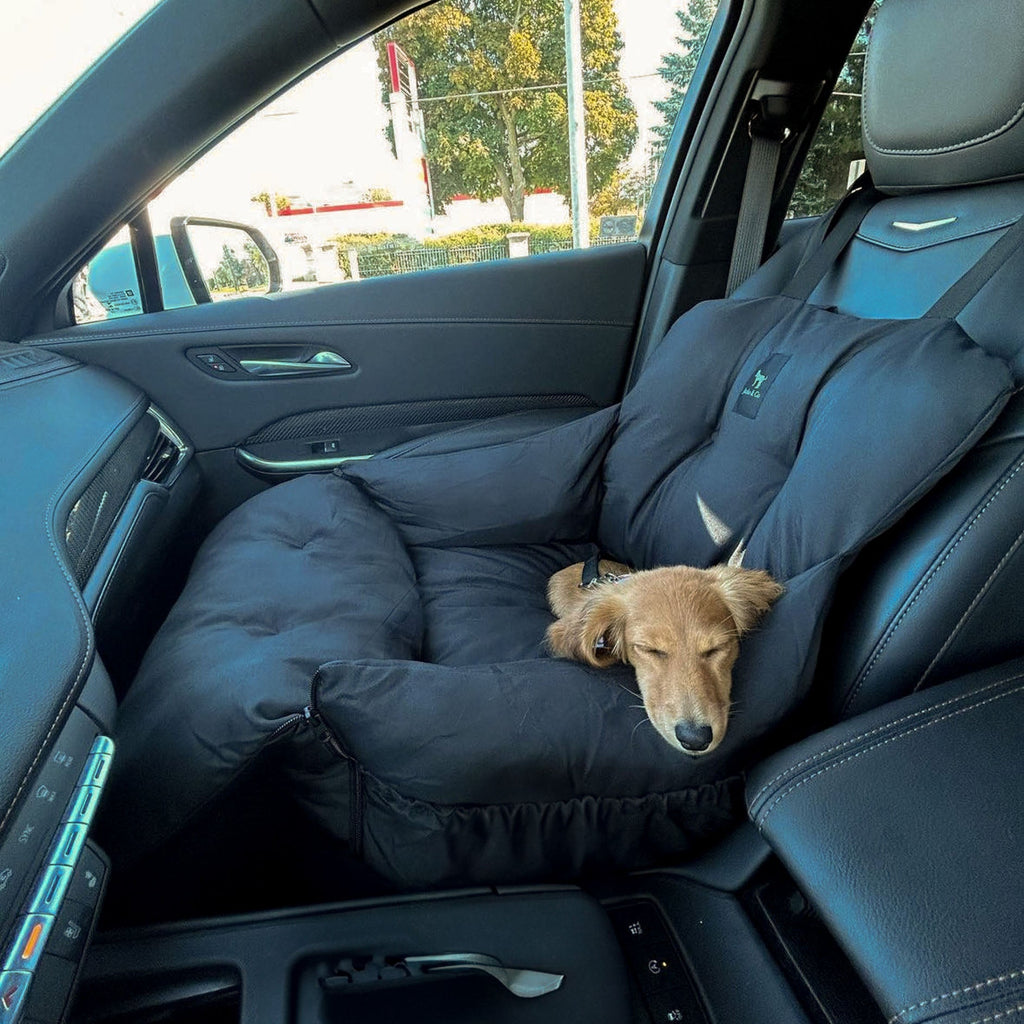 Pet Car Seat and Carrier for Dogs or Cats up to 25 lb, Water-Resistant Oxford Seat with Removable Cushion source image 22