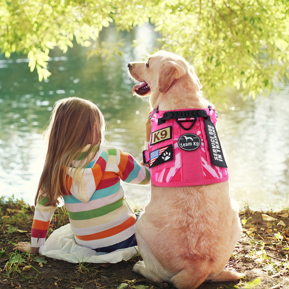 Heavy-Duty Tactical No-Pull Dog Harness with Dual D-Ring Control and Quick-Release Metal Buckles product image 22