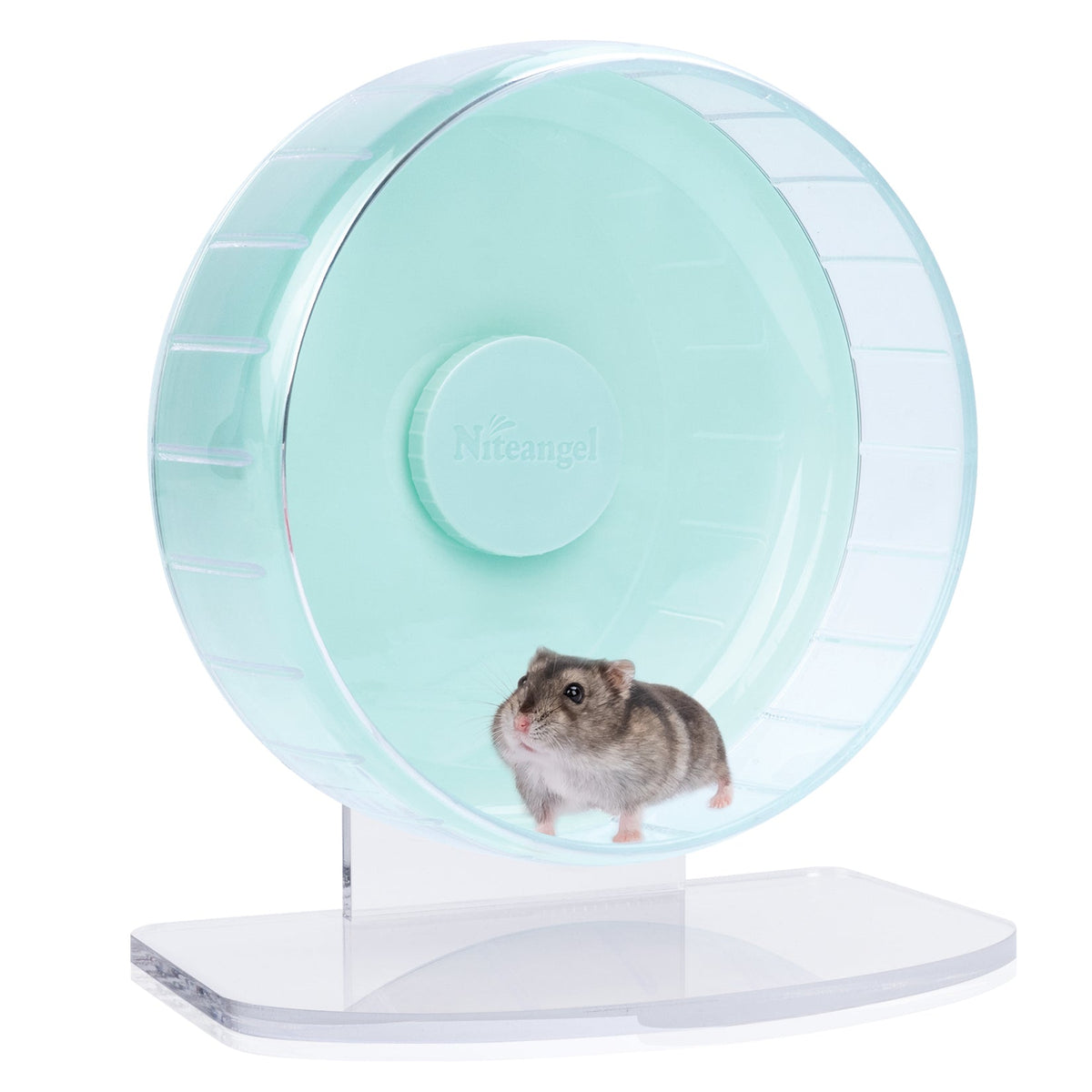 Super-Silent Hamster Exercise Wheel with Adjustable Height and Dual-Bearing Spinner in Four Sizes source image 22