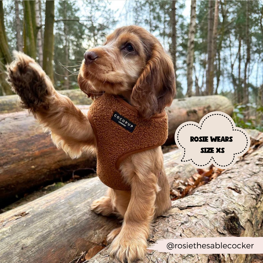 Adjustable Neck Dog Harness in Teddy Texture, Lightweight Walking Vest for XXS to Large Dogs source image 22