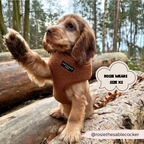 Adjustable Neck Dog Harness in Teddy Texture, Lightweight Walking Vest for XXS to Large Dogs source image 22