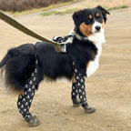 Waterproof Dog Boot Leggings for Winter Walks, Seam-Free TPE Paw Covers and Full-Leg Protection source image 22