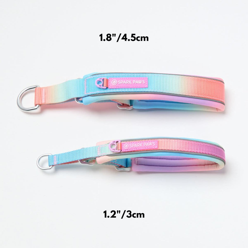 Cushioned Martingale Dog Collar for Gentle Leash Guidance, Limited-Cinch Design in Five Sizes source image 22