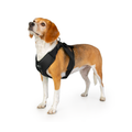 Crash-Tested Dog Car Safety Harness Small / Jet Black / Regular