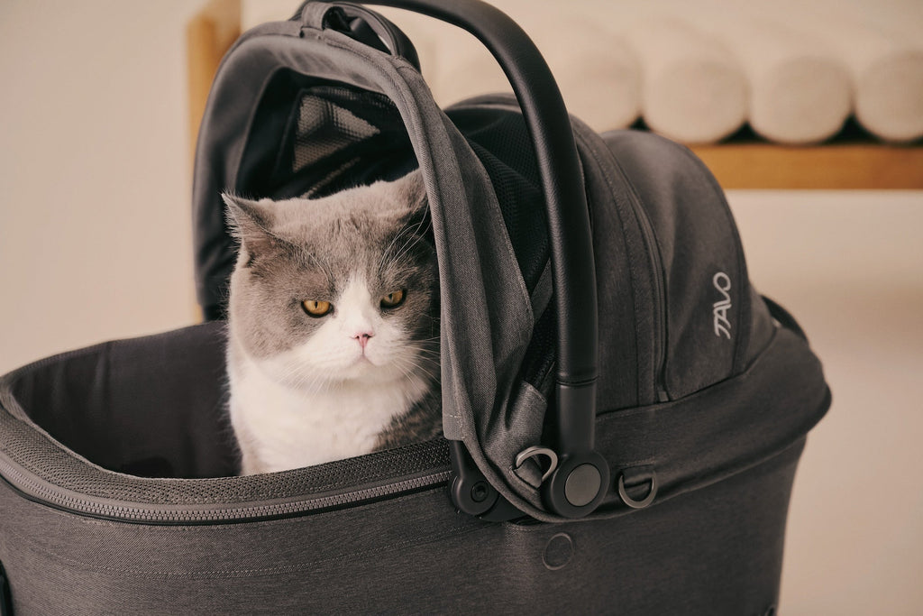 Ventilated Pet Car Seat System product image 22