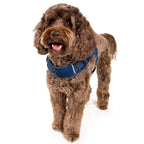 Martingale Dog Harness product image 22