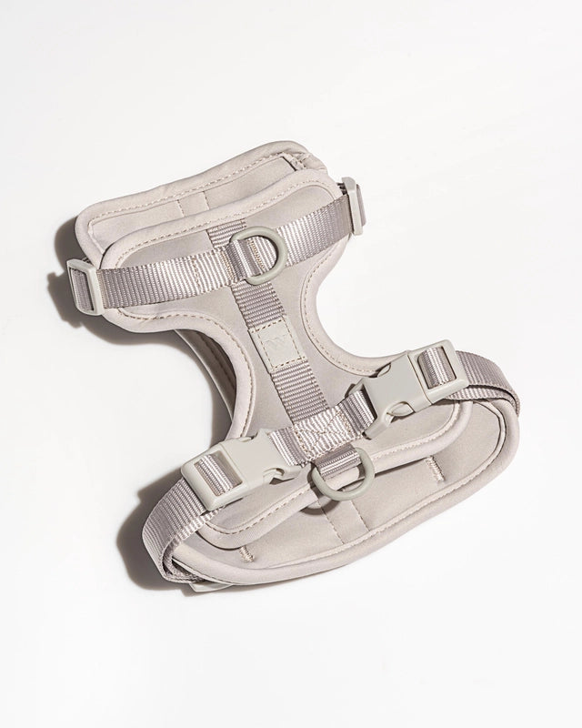Dog Harness product image 22
