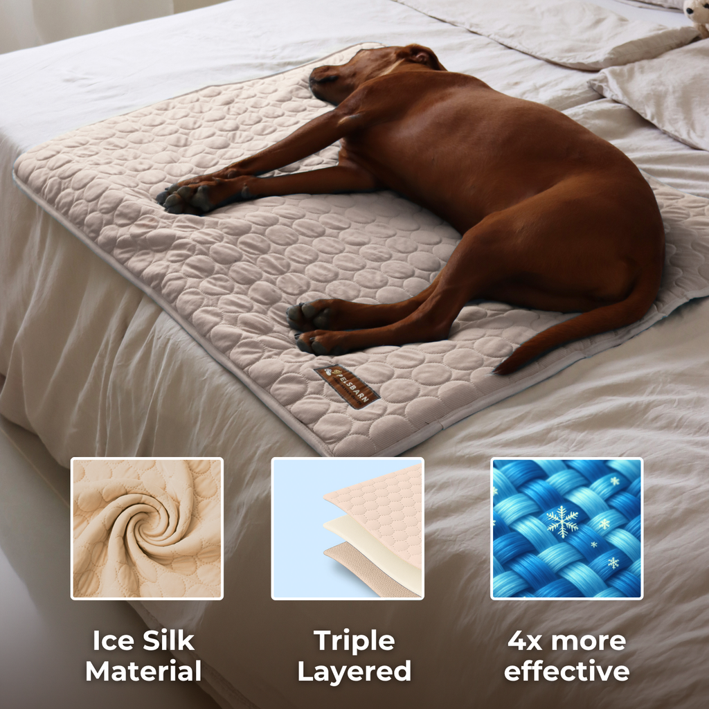 Dog Cooling Mat product image 22
