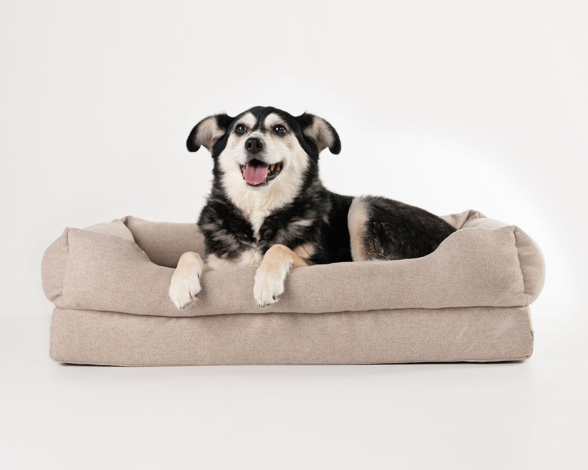 Orthopedic Dog Bed product image 22