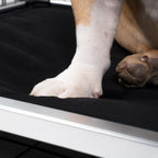 Chew-Resistant Padded Elevated Dog Crate Bed with Aluminum Frame in Five Sizes and Four Colors product image 23