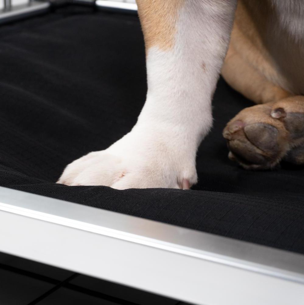 Chew-Resistant Padded Elevated Dog Crate Bed with Aluminum Frame in Five Sizes and Four Colors product image 23