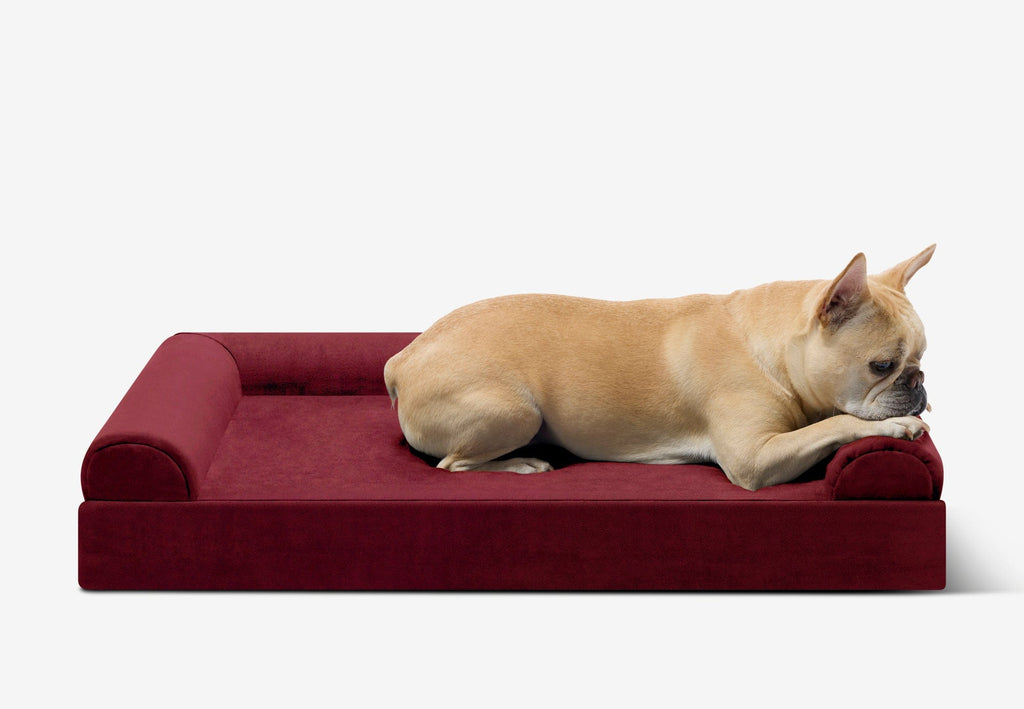 Orthopedic Dog Bed for Small and Medium Dogs, 4-Inch Layered Foam in Headrest and Sofa Styles source image 23