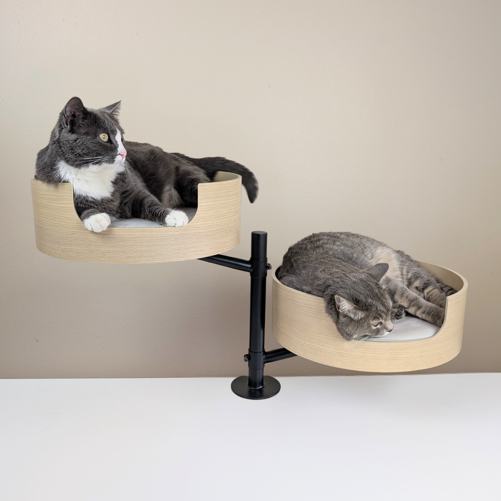 Desk-Mounted Cat Bed for Workspaces, Elevated Single or Double Nest in Walnut and White Oak Finishes source image 23