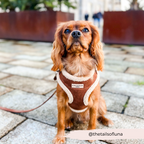Adjustable Neck Dog Harness, Brown Faux Suede Walking Vest with Soft Fluffy Trim in XXS to Large Sizes source image 23