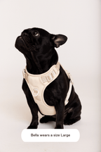 Hands-Free Dog Walking Set for Waist or Shoulder Wear, Neoprene Harness and Compact Pouch Bundle source image 23