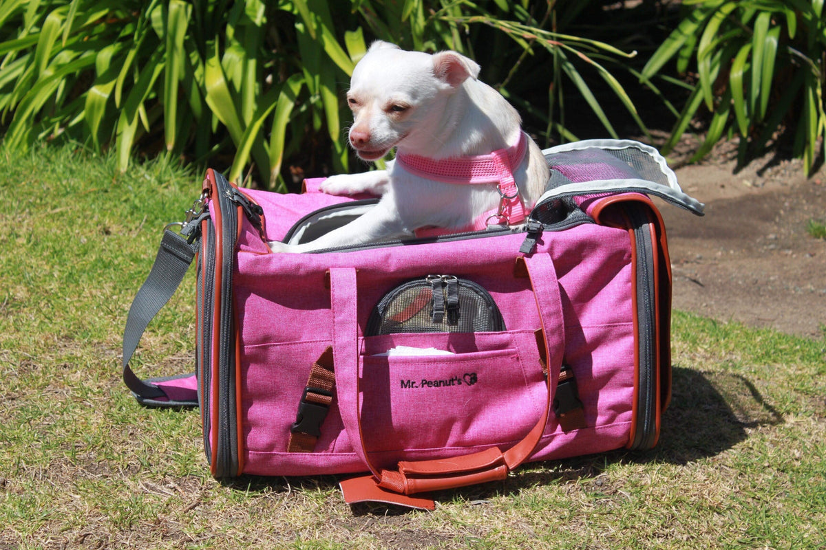 Soft-Sided Airline Pet Carrier for Cats and Small Dogs with Mesh Ventilation and Expandable Port product image 23