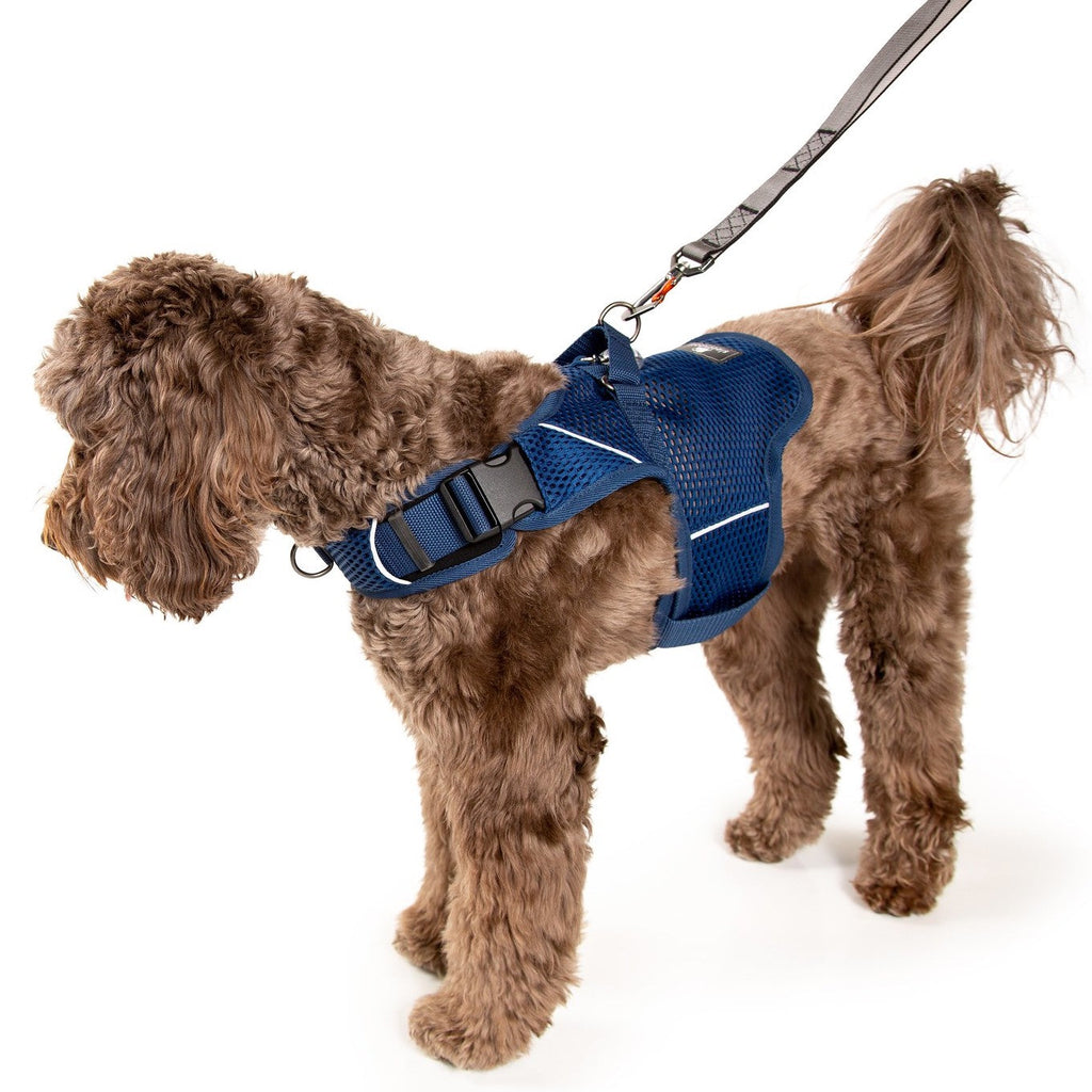 Martingale Dog Harness product image 23