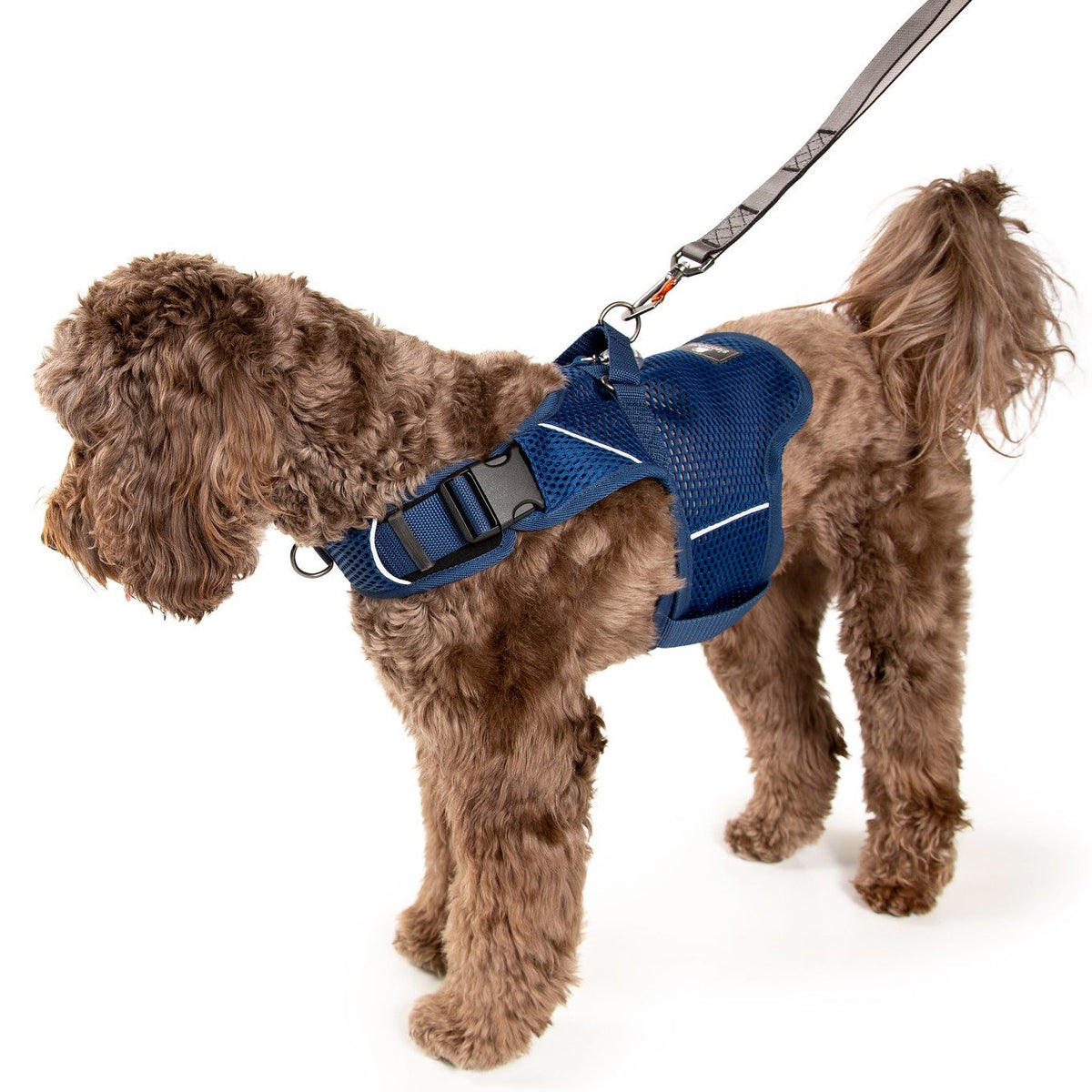 Martingale Dog Harness product image 23