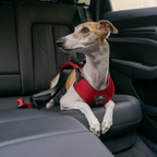 Crash-Tested Dog Car Safety Harness product image 23