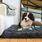 Memory Foam Dog Bed product image 23