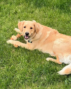 Coconut Rope and Coffee Wood Dog Chew Toy product image 21