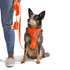 Dog Harness product image 23