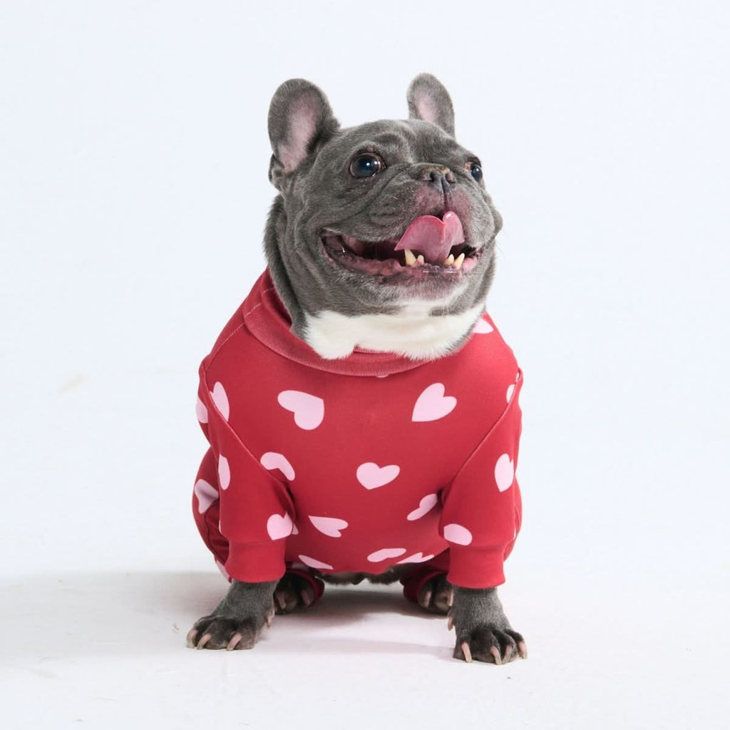 Dog Pajamas product image 23