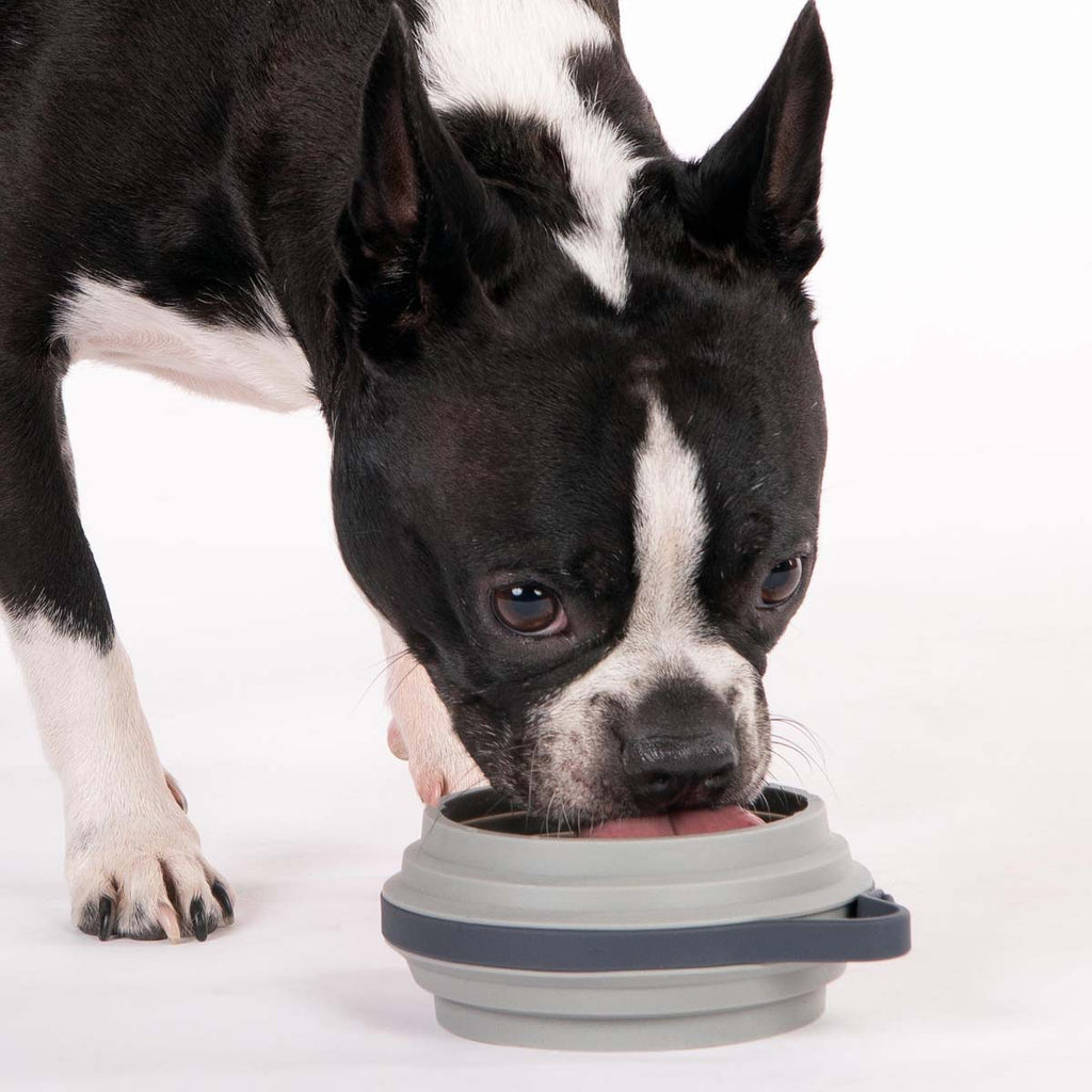 Travel Dog Bowl product image 23