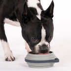 Travel Dog Bowl product image 23